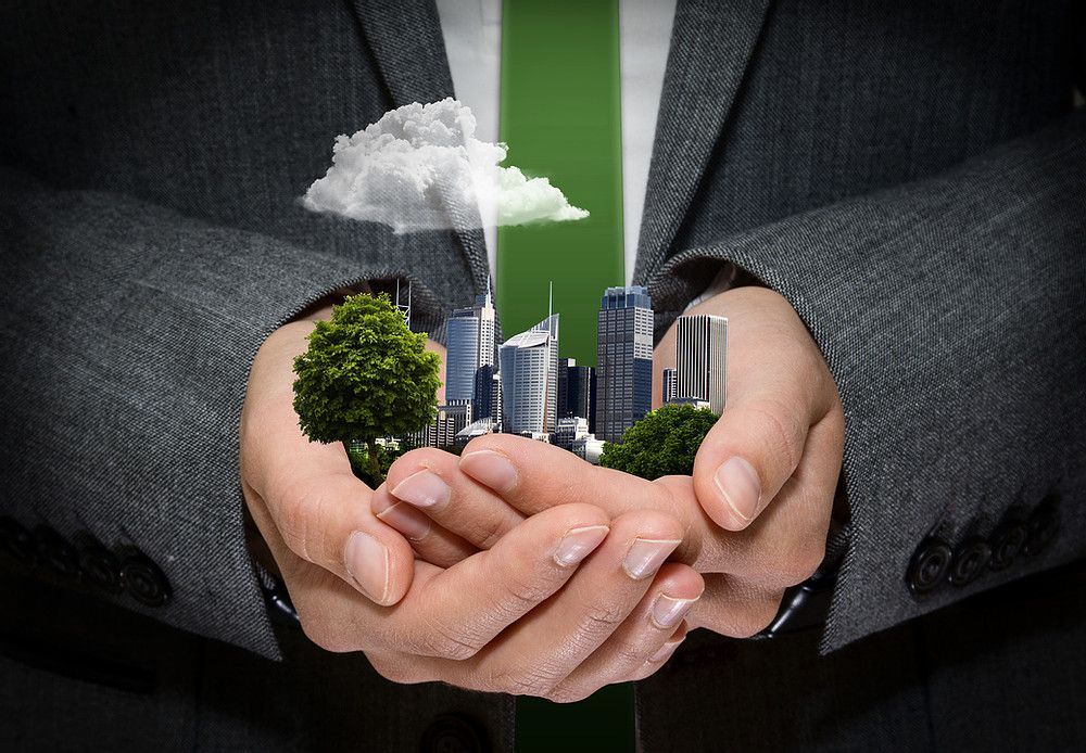 dillonrossgroup's tweet photo. Businesses need to pull their weight to solve climate change issues. Read on to discover the most effective business solutions for climate change here. https://t.co/UVsKblGbBU https://t.co/yeTRWcxKQZ