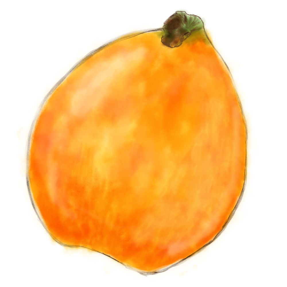 Nori Nori Tot Twitter