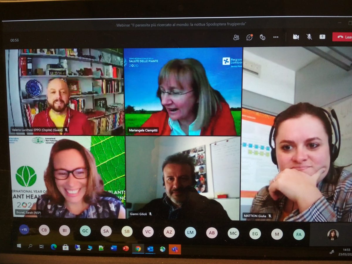 Plants_EFSA's tweet photo. Grateful to participate to the webinar on #FallArmyWorm presenting the @EFSA_EU #surveycard dedicated to #Spodoptera #frugiperda.
๐๐ฝ๐ขโณ๐
open from here ๐๐พhttps://t.co/Z4pqrJds2l
#preparedness
#surveillance
#planthealth https://t.co/GcNzYzI9rJ