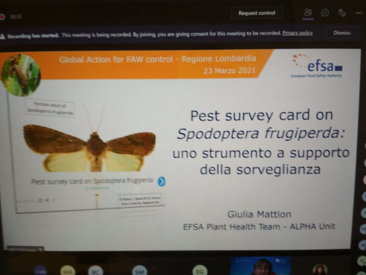 Plants_EFSA's tweet photo. Grateful to participate to the webinar on #FallArmyWorm presenting the @EFSA_EU #surveycard dedicated to #Spodoptera #frugiperda.
๐๐ฝ๐ขโณ๐
open from here ๐๐พhttps://t.co/Z4pqrJds2l
#preparedness
#surveillance
#planthealth https://t.co/GcNzYzI9rJ