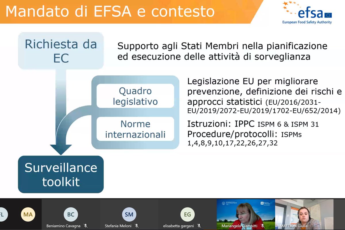 Plants_EFSA's tweet photo. Grateful to participate to the webinar on #FallArmyWorm presenting the @EFSA_EU #surveycard dedicated to #Spodoptera #frugiperda.
๐๐ฝ๐ขโณ๐
open from here ๐๐พhttps://t.co/Z4pqrJds2l
#preparedness
#surveillance
#planthealth https://t.co/GcNzYzI9rJ