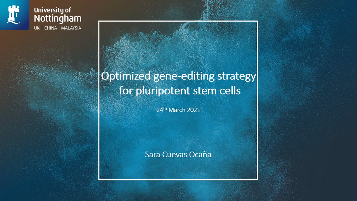 SaraOcana1's tweet photo. This is starting to look real! Very excited to present my work tomorrow at the #StemCellResearchNetwork @UoNresearch @UoN_BDI! 1st #solopresentation & 1st speaker, no pressure. I hope you enjoy it! @LabHannan @The_MRC @cftrust @lunguk https://t.co/MeLKPS1Q3C