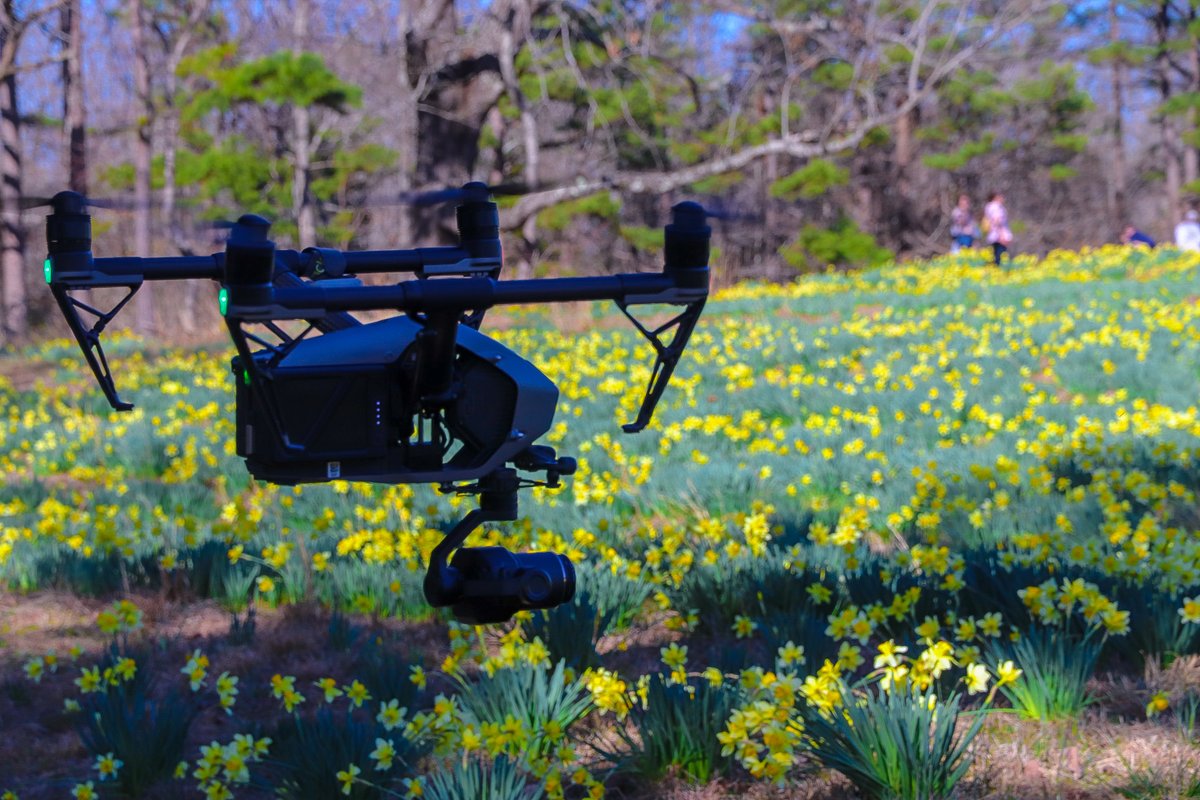 ArkansasTV_'s tweet photo. Spring has arrived, and our #ExploringAR team has been taking it in at beautiful Wye Mountain!
Take a peek behind the scenes of “Exploring Arkansas From Above” - coming in late 2021, and show us your own spring scenes in the comments. https://t.co/YrbMdXDFBd