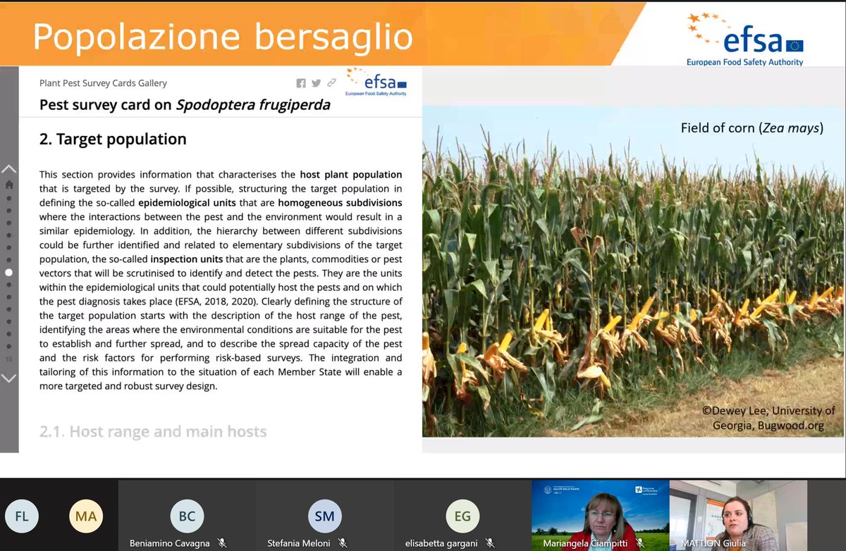 Plants_EFSA's tweet photo. Grateful to participate to the webinar on #FallArmyWorm presenting the @EFSA_EU #surveycard dedicated to #Spodoptera #frugiperda.
๐๐ฝ๐ขโณ๐
open from here ๐๐พhttps://t.co/Z4pqrJds2l
#preparedness
#surveillance
#planthealth https://t.co/GcNzYzI9rJ