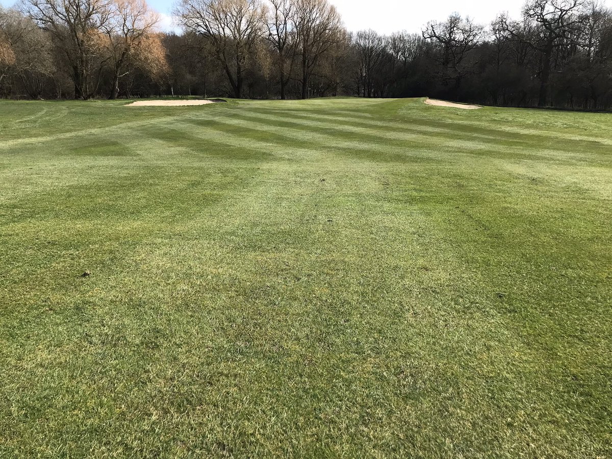 leeacox's tweet image. some excellent attention to detail going on from the greens team @millhillgolf #dryingout #playgolf