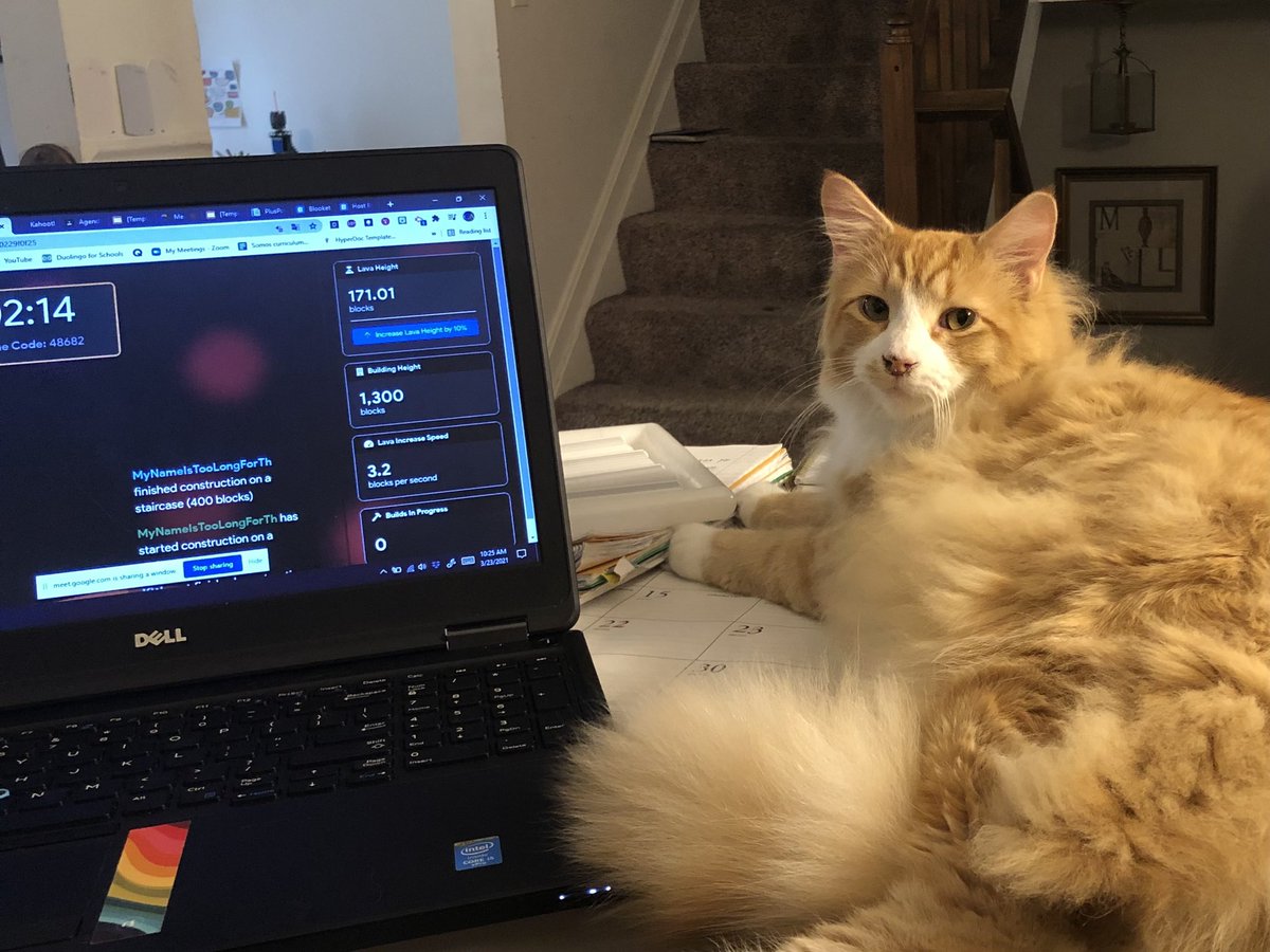 CASpanish1's tweet photo. It’s game day in Spanish 1 and we have a visitor!  We love #gimkit The Floor Is Lava! https://t.co/PzlJ9kuclL
