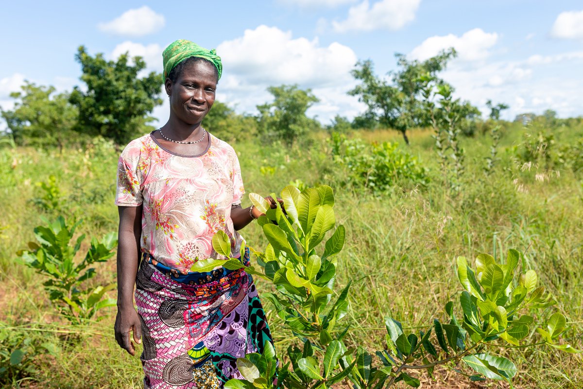 TREEAID's tweet photo. #GreatGreenWall is a revolutionary African led initiative says @UNCCD. More than ever we need to invest in the Great Green Wall. #Restoration is key to meet sustainable economic growth 

#SDGs #ThinkLandscape @IUCN 

Find out more: https://t.co/6visFqzWmW https://t.co/e3eeOZPzVO