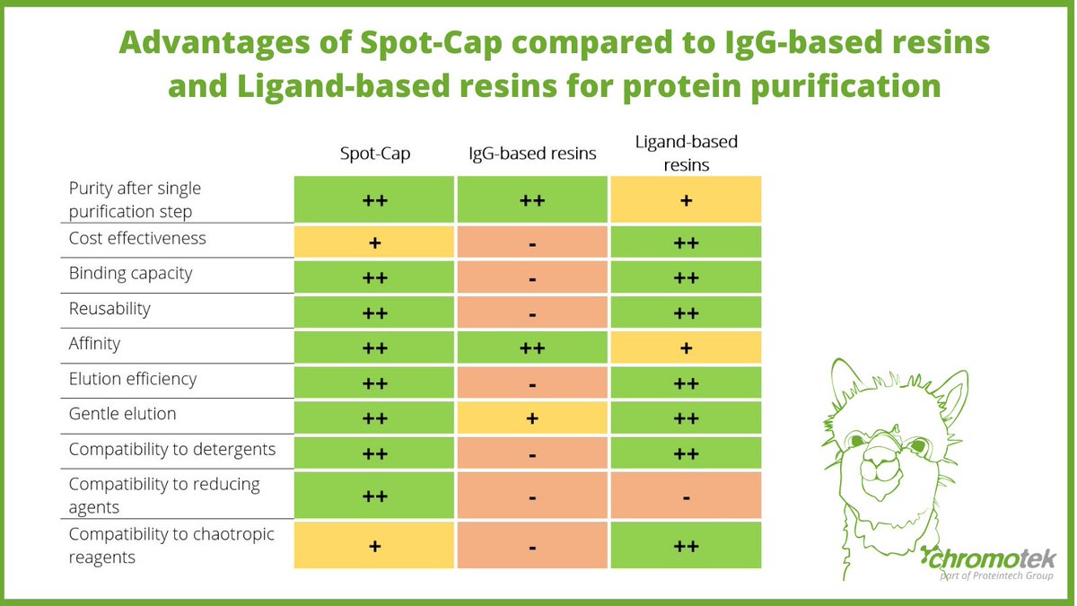 ChromoTekGmbH's tweet photo. Did you know that Spot-Cap® has various advantages compared to #IgG-based resins for #proteinpurification? #SpotCap has been developed for high capacity and selectivity for Spot-tagged proteins. Read all about the advantages here:
https://t.co/LZr7hHA1n7
#SpotTag #TechTuesday https://t.co/oN4UIumbsh
