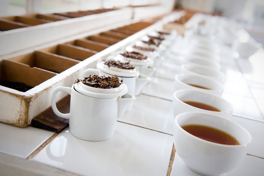 LePartiduThe's tweet photo. Nouvel article sur les thés du Rwanda à découvrir sur notre blog : 

https://t.co/DzAAkLVn2M

#blog #tea #rwanda #degustation #drink #teatasting #food #lepartiduthé https://t.co/gifSpPvvQU