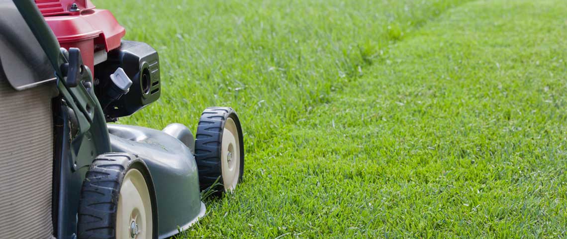 ProLawnLtd's tweet photo. Its time to start mowing! 

https://t.co/HZpoKccpss https://t.co/ew0W9kBASw