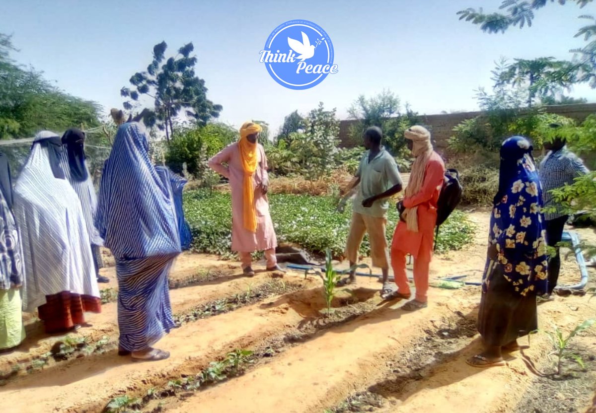 Thinkpeacesahel's tweet photo. Le projet #PESAI renforce les jeunes et femmes à développer leurs activités économiques.
@Thinkpeacesahel
@theGCERF
#ThinkPeaceSahel #GCERF #ADEFIM #CNJMALI #BuildingPeace #SayNotoViolence #EnViolentExtremism https://t.co/hBSiRM7qYI