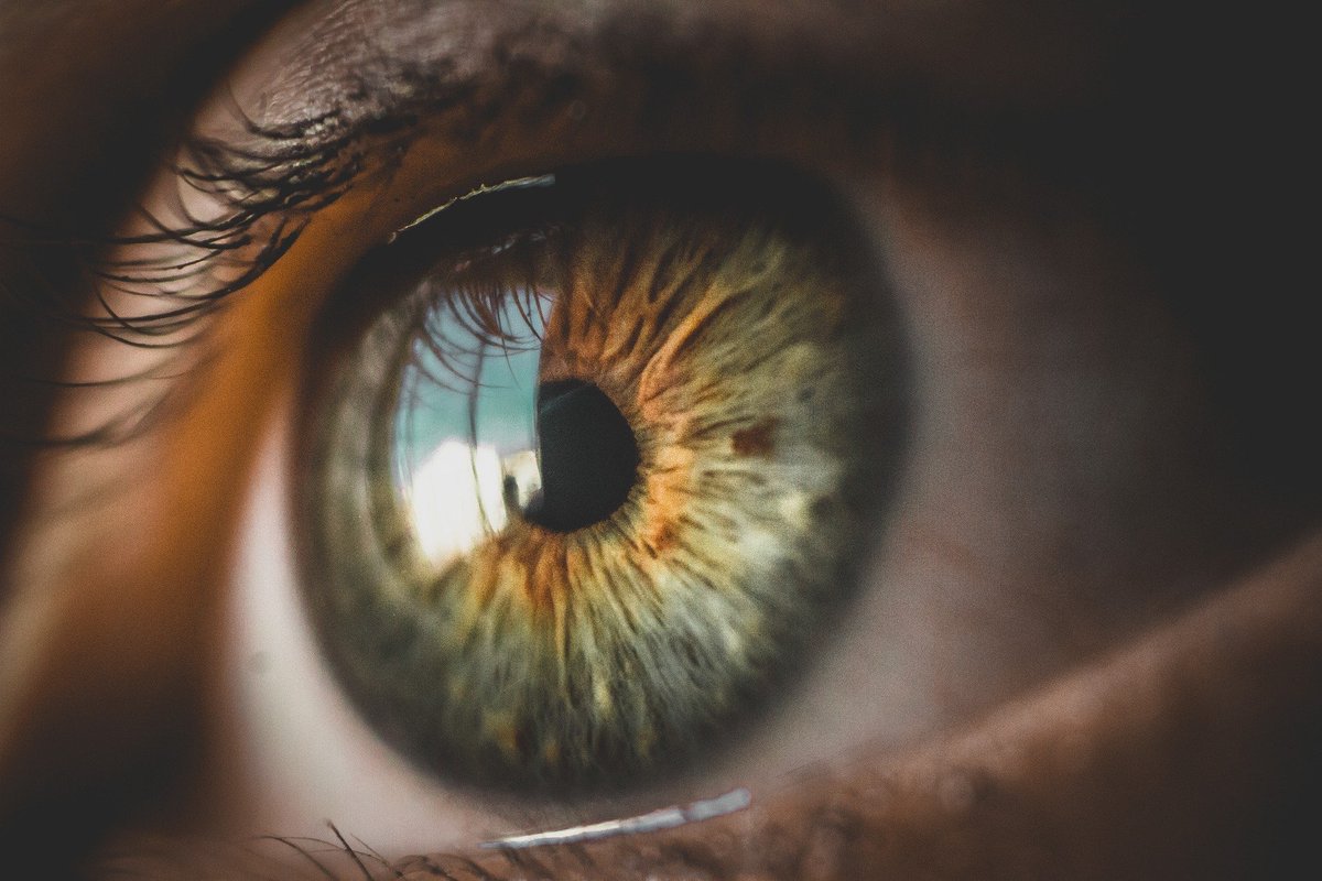 ABDOMembership's tweet photo. It’s World Optometry Day.

Today is a day to celebrate optometry, dispensing opticians and eye care professionals.

#WorldOptometryDay https://t.co/YKELxubdeB