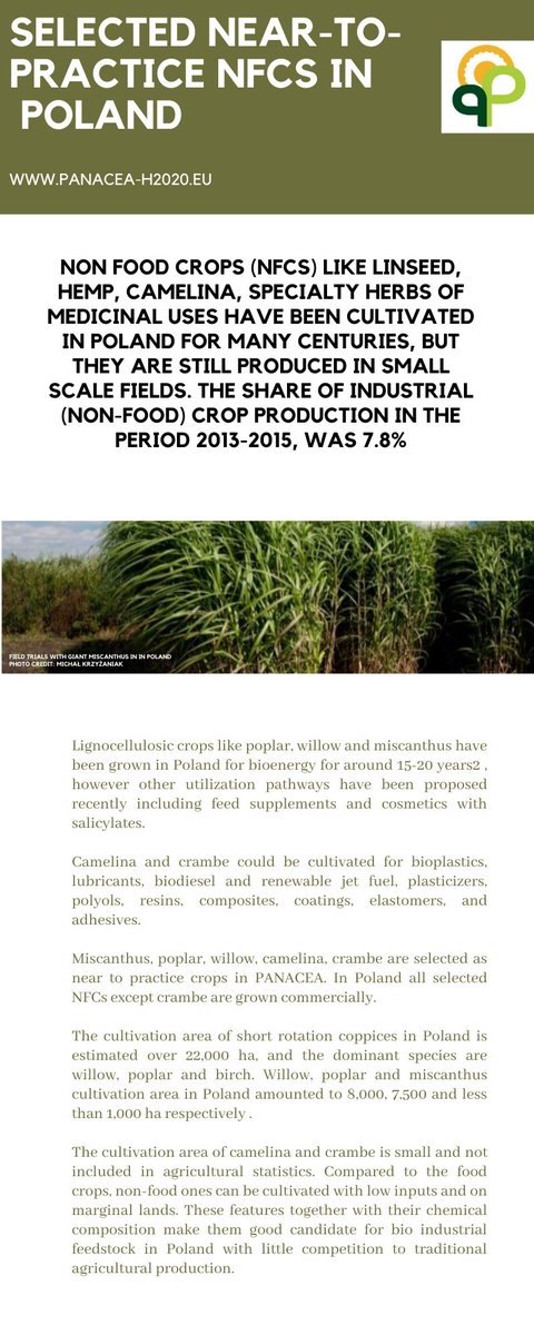 PANACEA Network (@panacea_h2020) on Twitter photo Enjoy the sumary of the result from <a href="/panacea_h2020/">PANACEA Network</a>
project on "Strength and opportunities of near to-practice non-food-crops" in #Poland Enjoy the sumary of the result from <a href="/panacea_h2020/">PANACEA Network</a>
project on "Strength and opportunities of near to-practice non-food-crops" in #Poland