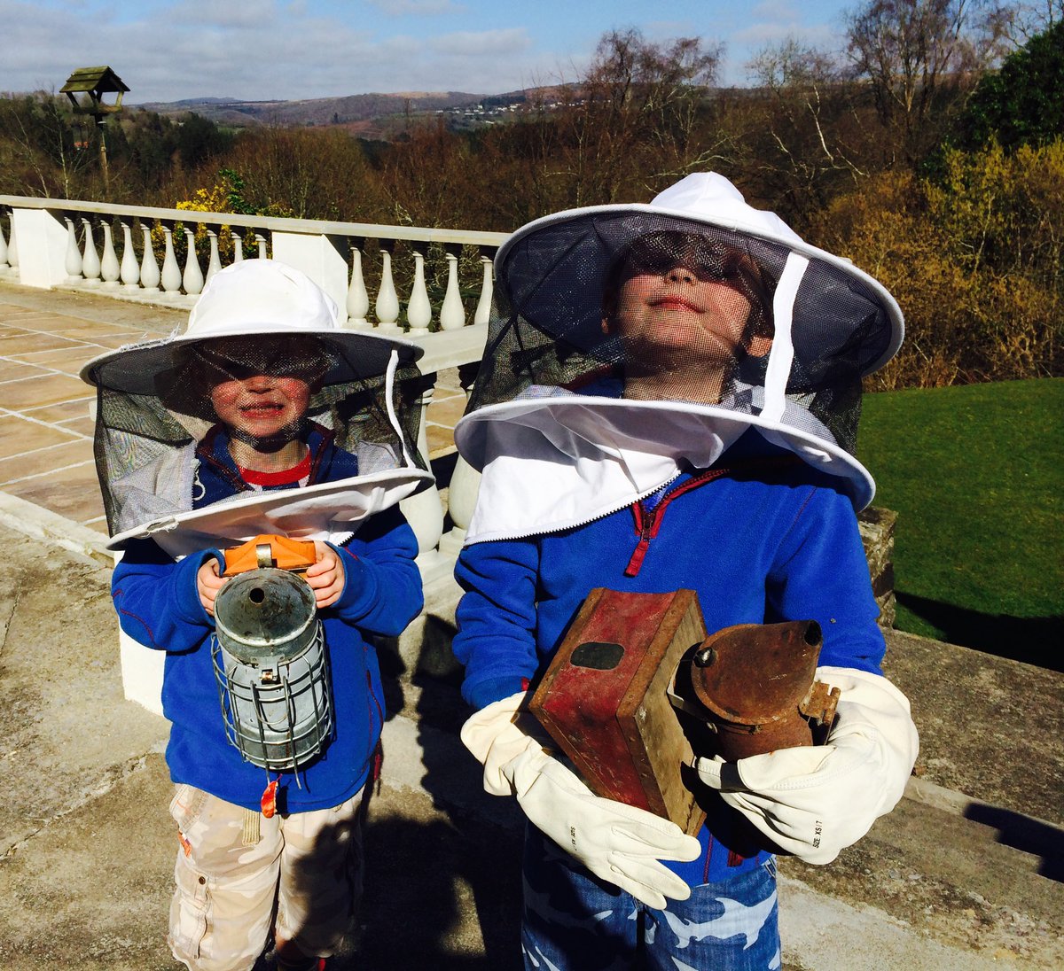 Bethan_Roberts_'s tweet photo. @SteveBackshall @Buzz_dont_tweet We’re doing our bit in #Devon too🐝🍯 https://t.co/w8TJhscSKd
