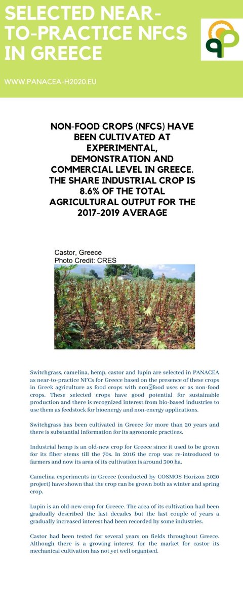 PANACEA Network (@panacea_h2020) on Twitter photo Have a look to the sumary of the result from <a href="/panacea_h2020/">PANACEA Network</a> project on "Strength and opportunities of near to-practice non-food-crops in #GREECE Have a look to the sumary of the result from <a href="/panacea_h2020/">PANACEA Network</a> project on "Strength and opportunities of near to-practice non-food-crops in #GREECE