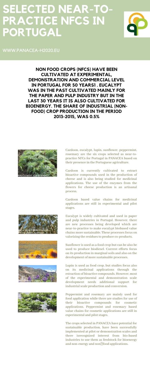 PANACEA Network (@panacea_h2020) on Twitter photo Sumary of the result from <a href="/panacea_h2020/">PANACEA Network</a> project on "Strength and opportunities of near to-practice non-food-crops in #Portugal Sumary of the result from <a href="/panacea_h2020/">PANACEA Network</a> project on "Strength and opportunities of near to-practice non-food-crops in #Portugal