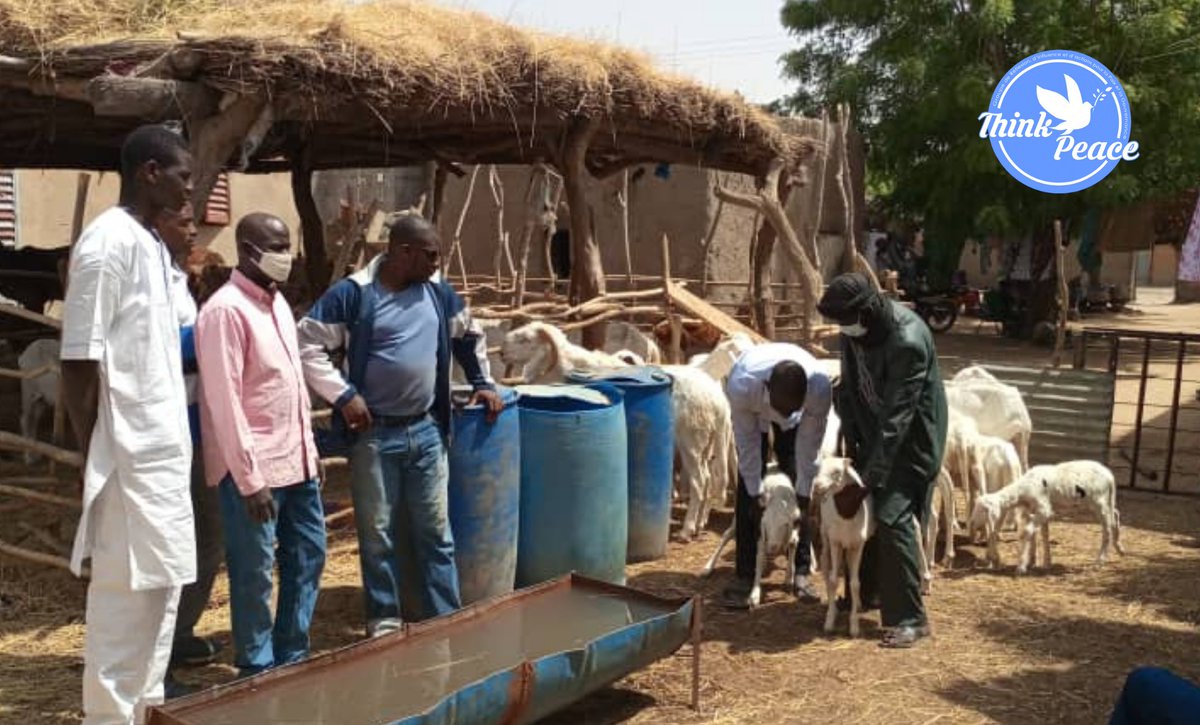 Thinkpeacesahel's tweet photo. Ce projet vise à investir dans l’autonomisation économique des jeunes et des femmes pour prévenir l’extrémisme violent à travers des solutions alternatives intégrées.
@Thinkpeacesahel
@theGCERF
#ThinkPeaceSahel #GCERF #ADEFIM #CNJMALI #BuildingPeace #SayNotoViolence https://t.co/3Z5PltrmZj
