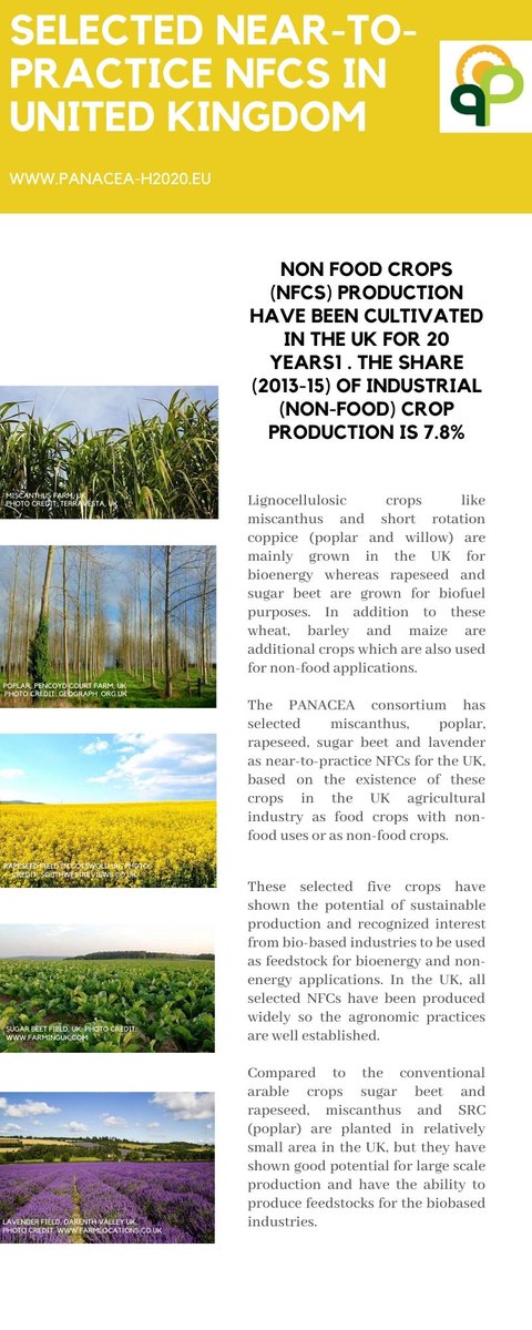 PANACEA Network (@panacea_h2020) on Twitter photo Happy to share with you the result of <a href="/panacea_h2020/">PANACEA Network</a> on "Strength and opportunities of near to-practice non-food-#crops" in #UK🇬🇧 Happy to share with you the result of <a href="/panacea_h2020/">PANACEA Network</a> on "Strength and opportunities of near to-practice non-food-#crops" in #UK🇬🇧