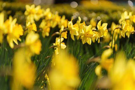 On this day of reflection, we'd like to thank colleagues, partners &amp; all those for connecting &amp; supporting those in need. Our strength together continues to make a difference. 
Join us &amp; many others taking a minute at noon to pay tribute to everyone who's been affected this year.