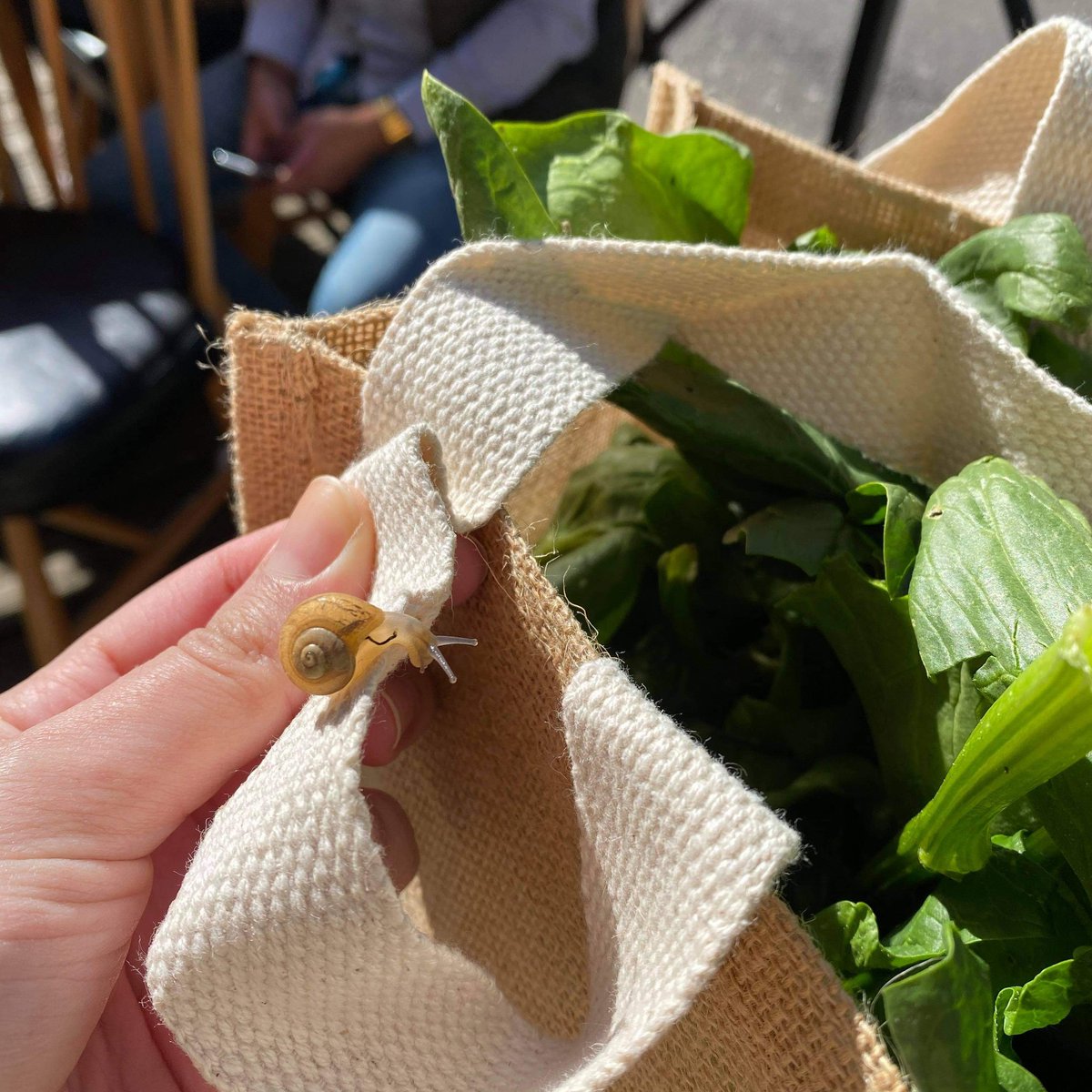 BAF_officiel's tweet photo. 2 fois par mois, nous sommes présents au #centreville de #Besancon et sur le #Campus de la #Bouloie pour la #distribution de #PaniersdeLégumes aux #étudiants 🥬🍊🍠

C'est environ 400 #PDL qui sont régulièrement commandés auprès de la #BAF

#icicestbesac #les3b #BoosteurdeBonheur https://t.co/JfrJXXvpu0