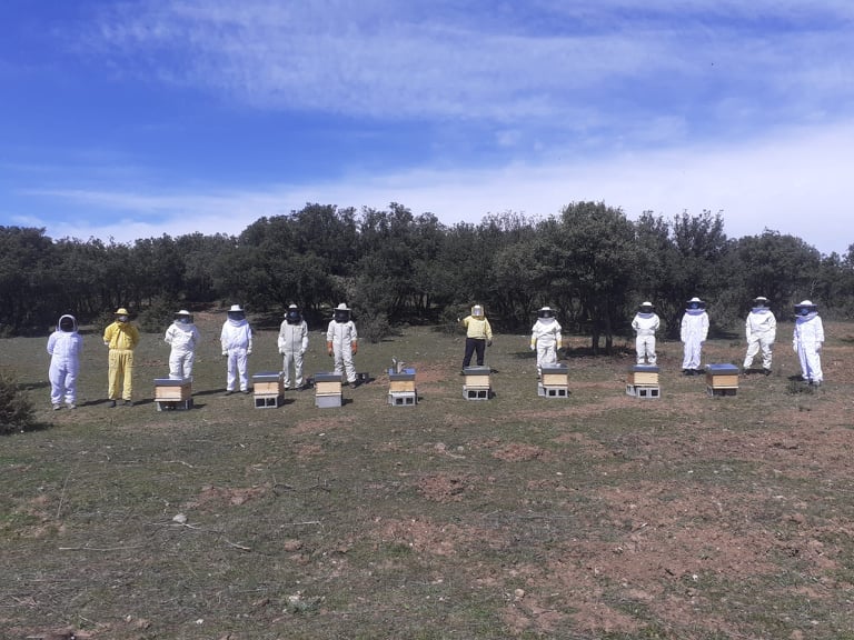 La #primavera ha llegado y con ella nuestros cursos de iniciación a la #apicultura. ¡Bienvenidos a los nuevos alumnos!

#abejas #formación #sostenibilidad