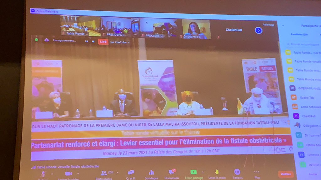Table Ronde Virtuelle sur le theme: « Partenariat renforcé et élargi : Levier essentiel pour l’élimination de la fistule obstétricale » Allocution M. Botto AHMET Ministre de la sante publuque du Niger #EndFistula #EndGBV #EndChildMarriage #EndFGM