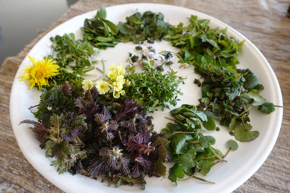 Salzburgerland's tweet photo. Spring herbs are the perfect suppliers for strength, energy and health ๐ช๐ฑ
The top 3 herbal favorites in spring: Wild garlic, Nettle & Goutweed.
#salzburgerland #feelaustria #spring #herbs #springherbs #wildgarlic #nettle #goutweed #nature https://t.co/QTM2ZKKohW
