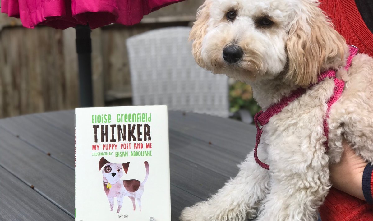 TinyOwl_Books's tweet photo. Paw-some!
It's #NationalPuppyDay!🐶

Is there anything cuter than a puppy? Our fictional pup #ThinkerPuppyPoet is kind, playful and a POET!🐾💡
Here's #officedog Hannah posing too!

Join wonderful teacher @simonerg18 for a special reading: https://t.co/n2xGhKuPhn #FlyWithTinyOwl https://t.co/OBX72yfNzG