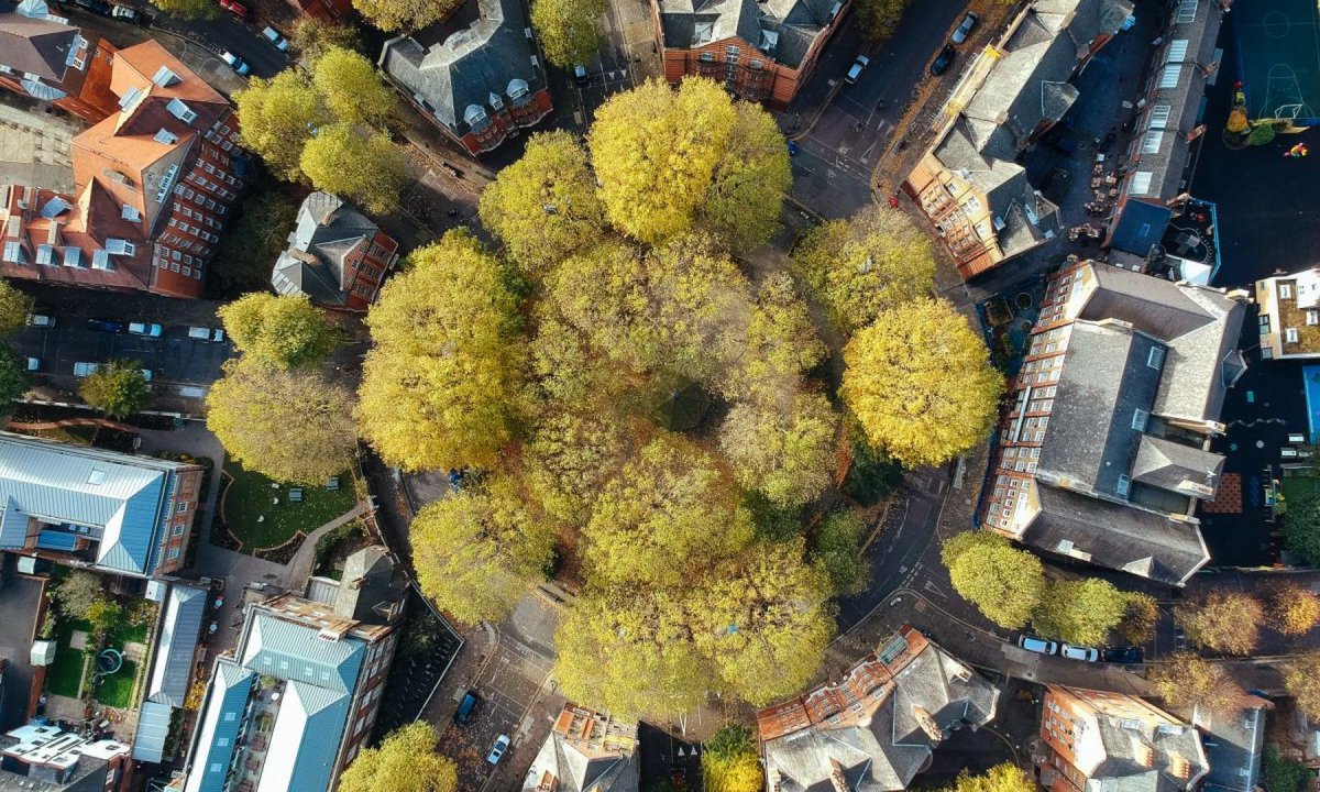 Flying machine eye view of the circus; source unknown #ArnoldCircus #Shoreditch #Gardening