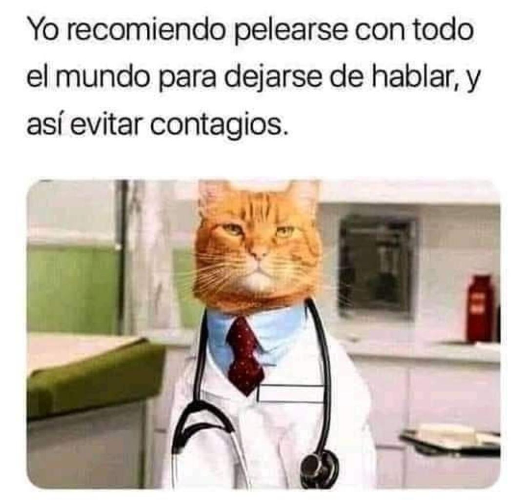 mymbaroga2's tweet photo. El mishi debe ser el ministro de salud 💪🏻 https://t.co/qjncpiOvA3