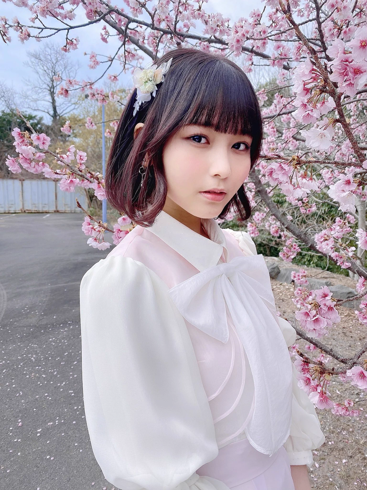 大場 花菜 on X: 
