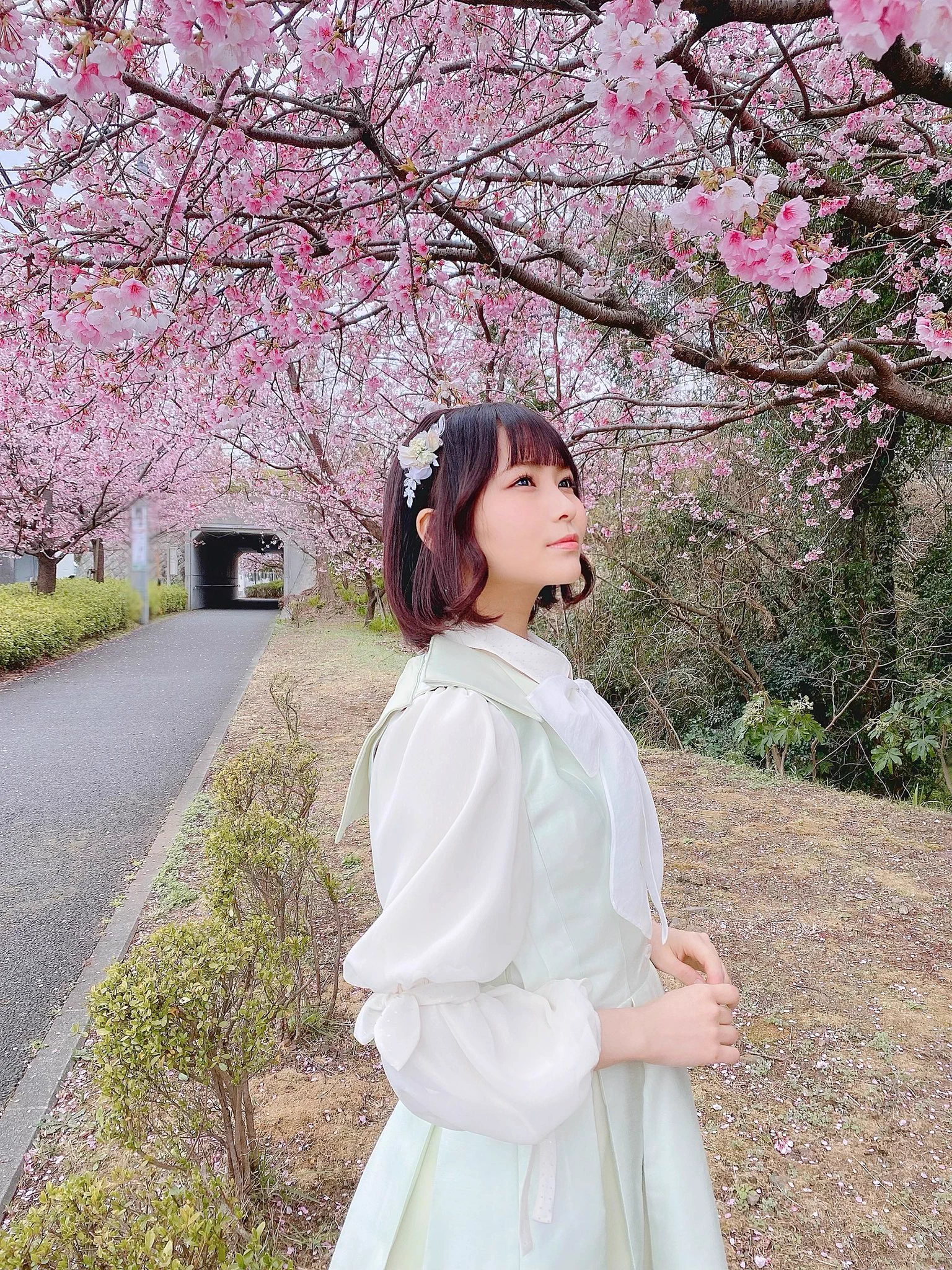 大場 花菜 on X: 