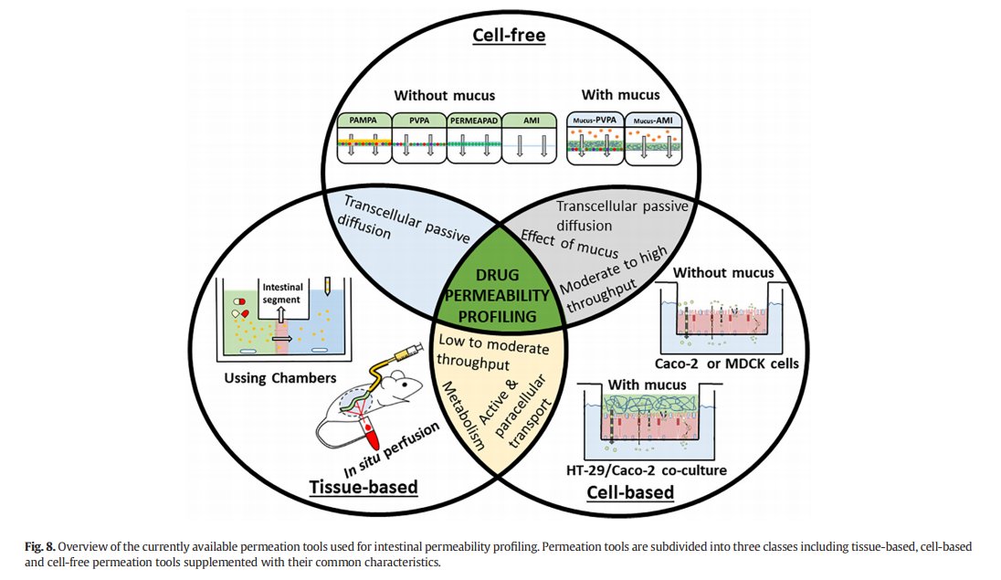 StrathclydeOA's tweet photo. Current challenges and future perspectives in oral #absorption research : an opinion of the #UNGAP network https://t.co/vyv7E5twW7 #pharmacy #drugs #OpenAccess @SIPBS_Strath @SipbsS @han_batchelor https://t.co/eOQ2ib4cgF