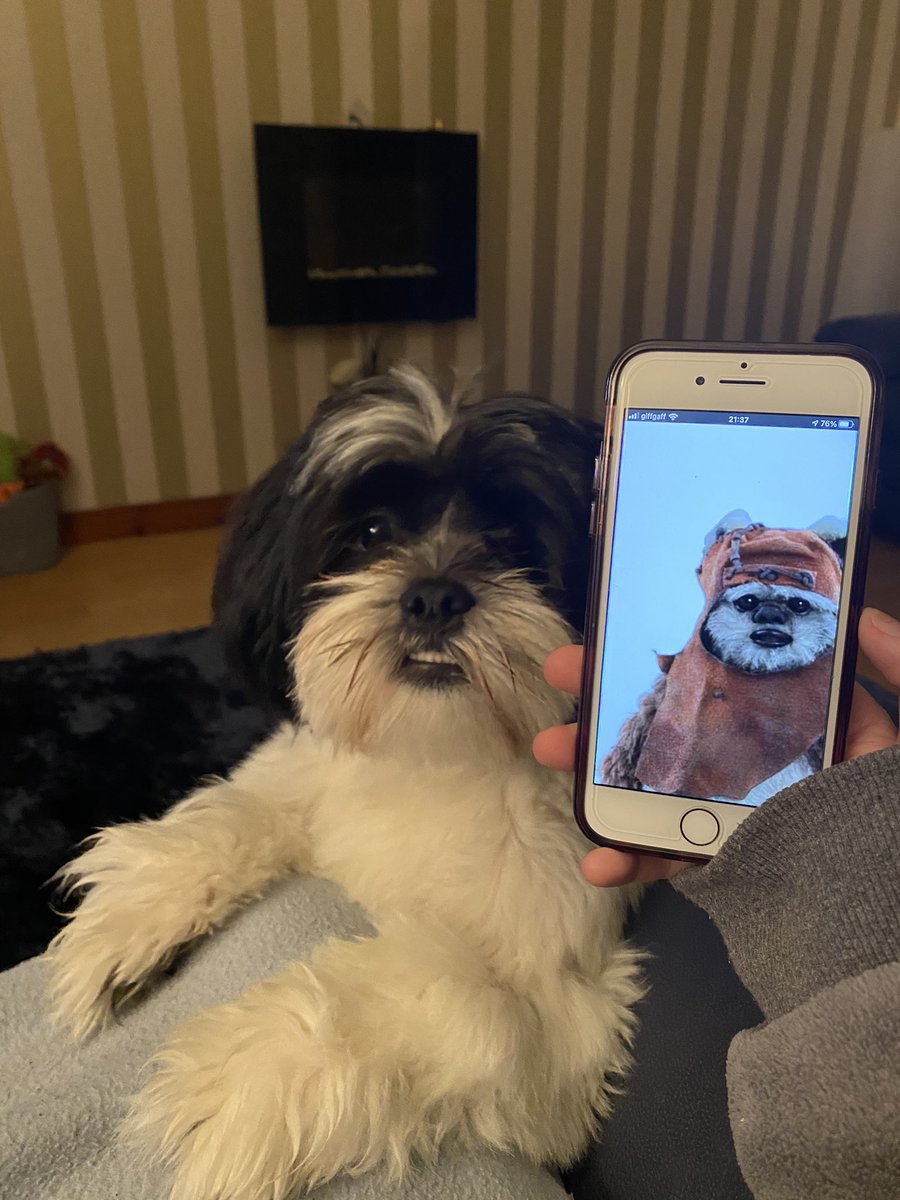 caroline usher tweet media