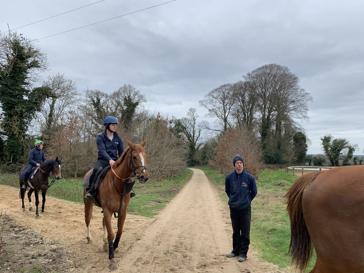 3rd lot ⁦@JackJdavisond⁩ Killarkin Stud this morning with ⁦@tom_murphy196⁩ and ⁦@DavidSkelly_⁩ ⁦@FlyingStartNews⁩ all going well and ready for a big season ahead