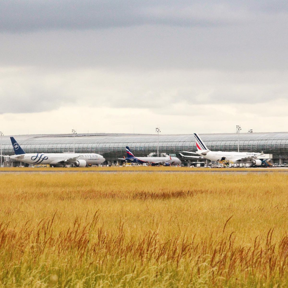 SophieFigenwald's tweet photo. ⏳ Derniers jours pour découvrir le n20 Airways Magazine !

✈️ Je vous y parle des aéroports et de leurs initiatives pour l’environnement et la biodiversité @AeroBiodiv 🐝🌱🌾

📔 Ravie de contribuer à ce magazine trimestriel aero, aux côtés d’experts du secteur comme @PeurAvion https://t.co/egZaOBT34s
