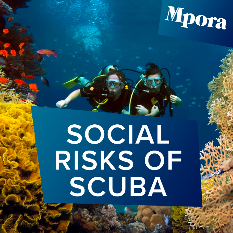 simplyscuba's tweet photo. Scuba diving presents many risks when you’re in the water, but what about out of it? Here are some social risks you’ll face when becoming a scuba diver! - @mpora
#surfaceinterval #mpora #socialrisksofscuba #scubadiving #scubablog #simplyscuba