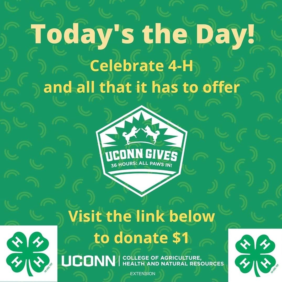 UConnHartford4h's tweet photo. Donate here: https://t.co/7pakiG3iFL
#UConnGives 
#4H https://t.co/EriWnEgKzP