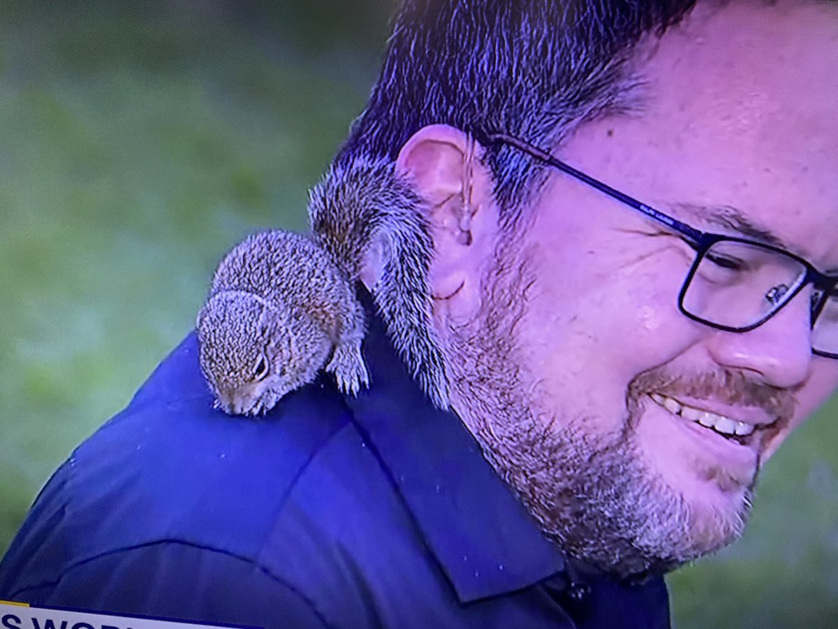 The whole time... <a href="/CharleyBelcher/">Charley Belcher FOX</a> knows it’s going to happen...

Then the moment the 🐿 tail tickles his ear! 🤣😂🤣😂
<a href="/jenepsteinfox13/">Jen Epstein</a> <a href="/DaveOFox13/">Dave Osterberg Fox13</a> <a href="/LauraMoodyFox13/">Laura Moody Fox 13</a> <a href="/russrhodesFOX/">.</a> <a href="/FOX13Mariah/">Mariah Harrison FOX 13</a>