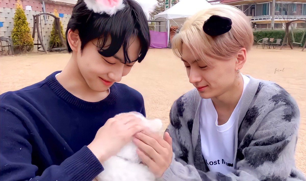 focaljungwon's tweet photo. jaywon playing with a puppy!♡︎ https://t.co/BWPbv8xbA7
