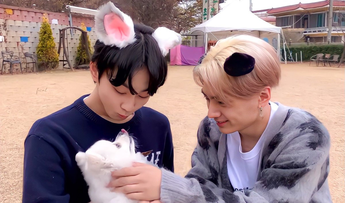 focaljungwon's tweet photo. jaywon playing with a puppy!♡︎ https://t.co/BWPbv8xbA7