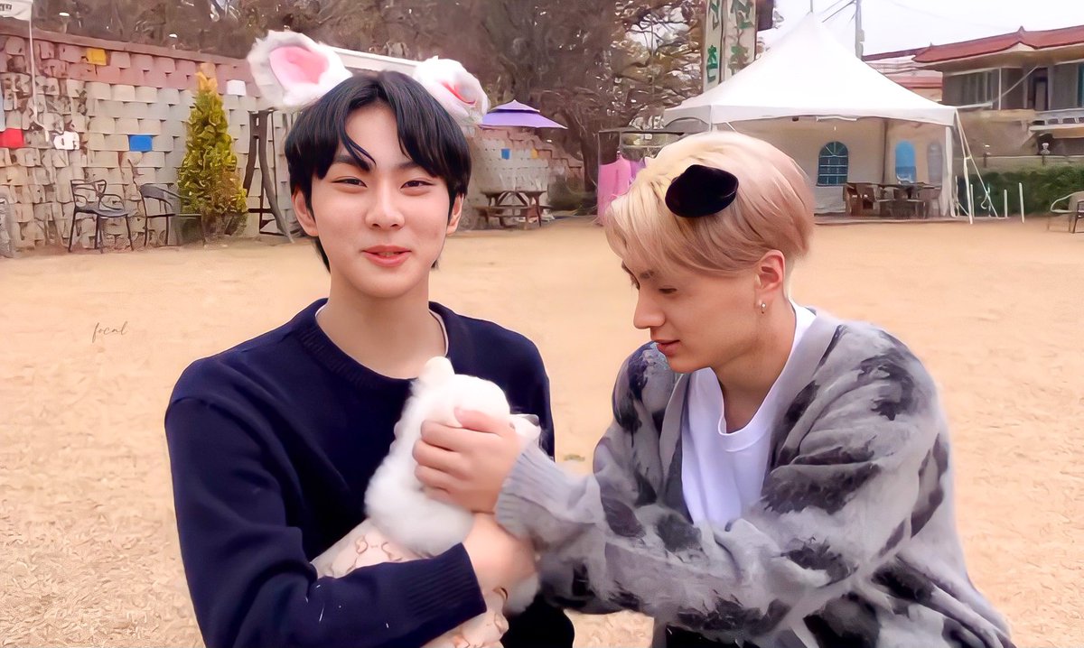 focaljungwon's tweet photo. jaywon playing with a puppy!♡︎ https://t.co/BWPbv8xbA7