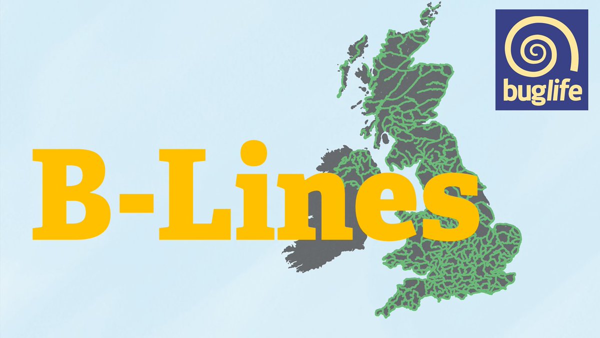 Buzz_dont_tweet's tweet photo. Neil Strong from @networkrail on how the rail network presents huge opportunities to contribute to the #BLines network by restoring or creating wildflower-rich habitats.
Transport networks can be better managed to improve habitat connectivity for wildlife: https://t.co/lwid1iCdhZ https://t.co/WjxyAsVz8R