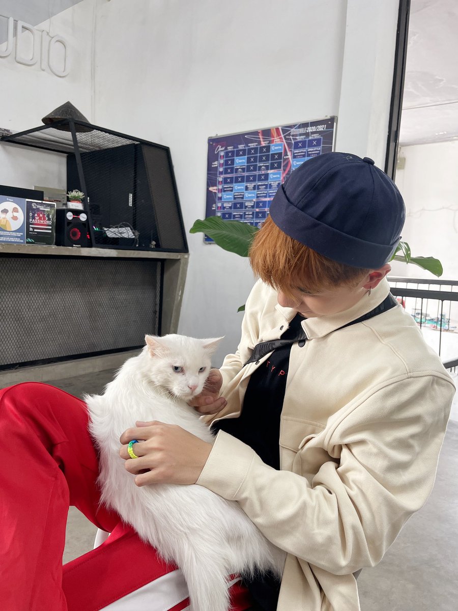 QH_MasterD's tweet photo. Có một chú mèo ở phòng tập nhảy 😹
Hôm nay Muzik🐼 như thế nào , có mệt không , thi cử có tốt không , công việc có ổn không 🤗💙
#quanghungmasterd https://t.co/EWUFo2tO0v