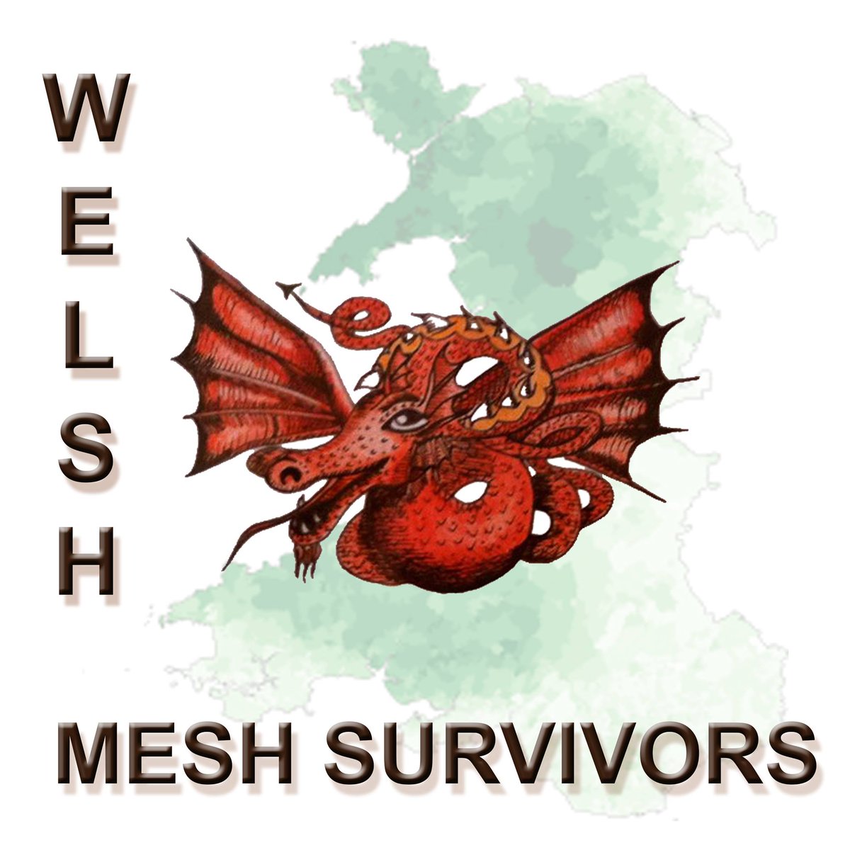@ptsafetylearn @shartles1 @MeshCampaign @RectopexyS @IrelandMesh @MBLacey @MeshUKCT @MeshAwarenessAU @meshsurvivorire A really good paper which highlights most aspects of this #Mesh Global Medical Health Disaster.
Many thanks, Sharon.