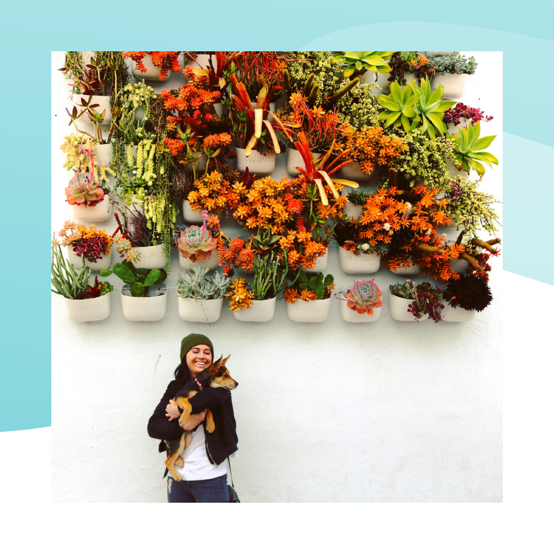 Foap Plus Creator program was designed with passion by creators for creators! 🥳

​​If you want to:
​🌸 get free product arriving at your door 
​🌸 have a chance to work with the best brands
​🌸 grow your portfolio
​🌸 get paid 
​
​More on: instagram.com/foap/