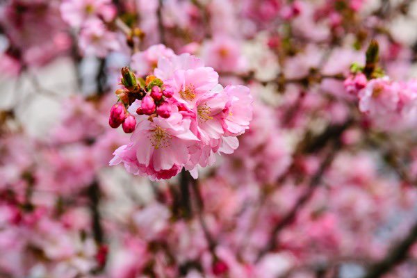 Jeanette tweet media