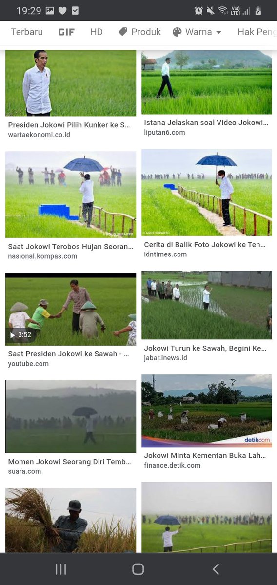 abu_waras's tweet photo. Jadi gini, kalau kita Googling gambar dgn keyword "Jokowi di Sawah". Maka akan didpt gambar2 Jokowi saat turun ke sawah yang terkesan sangat peduli dgn pertanian.
Tapi aksi Jokowi itu menjadi aksi sampah yg engga ada gunanya sama sekali ketika ada kabar kita akan IMPOR BERAS. https://t.co/irF4n9sGcP