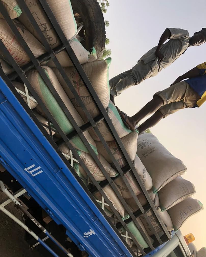 CHARISRICE20's tweet image. How's your Tuesday going???

Paddy outsourcing far North! It's a busy day