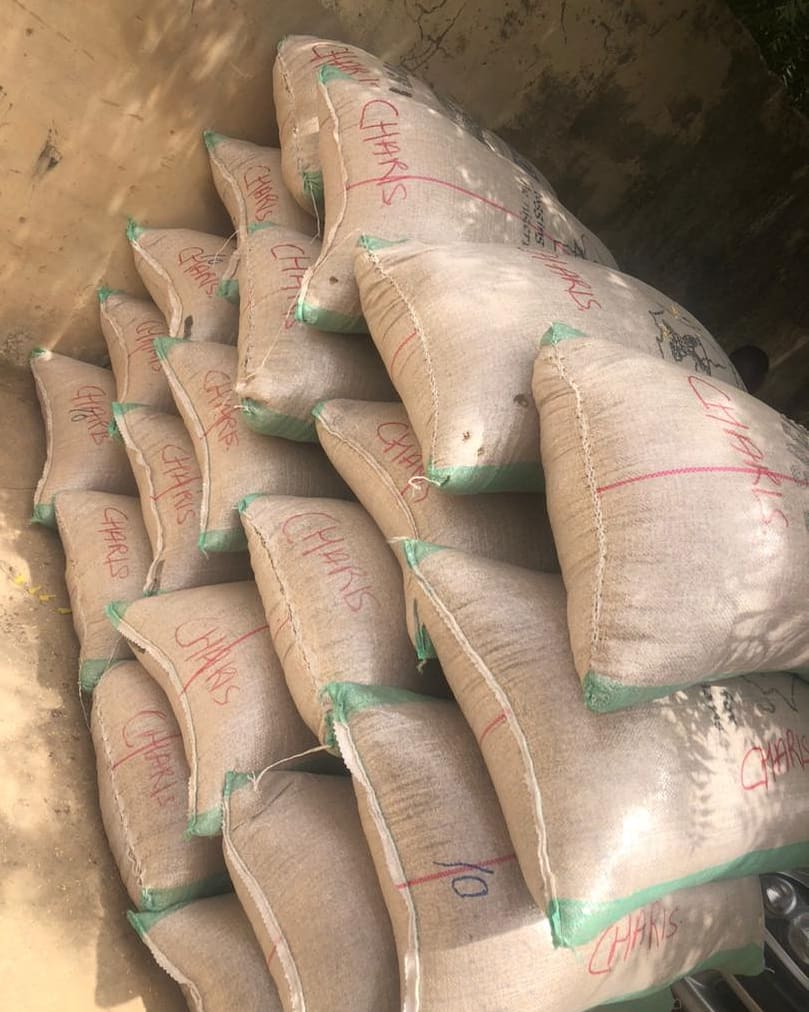 CHARISRICE20's tweet image. How's your Tuesday going???

Paddy outsourcing far North! It's a busy day